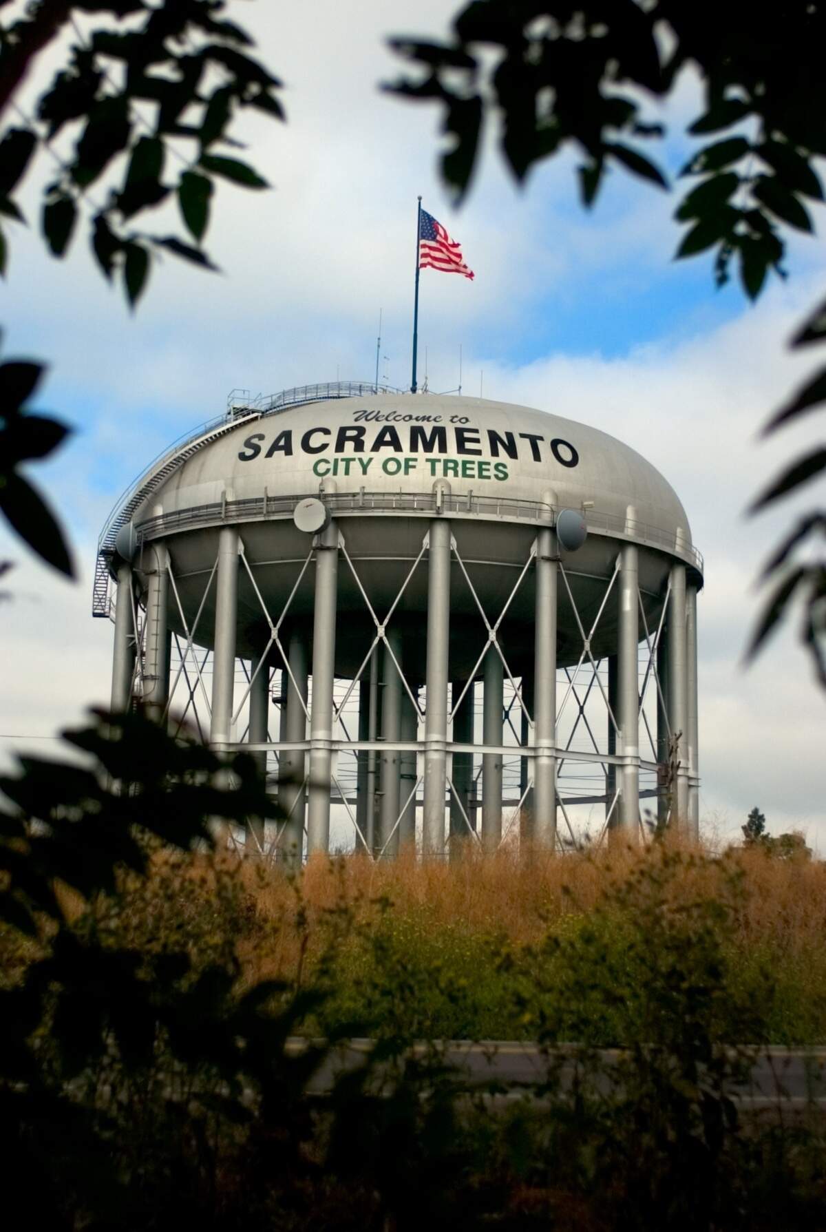 The Freeport water tower began its messaging evolution in 2005 with the slogan, "Welcome to Sacramento City of Trees," June 28, 2005. Sacramento Bee/ Florence Low